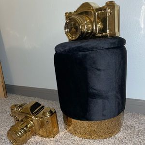 Gold Accent Camera Decor